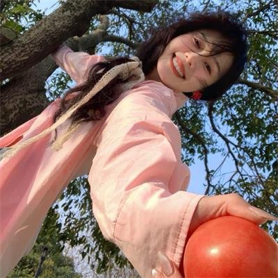 大明星醒目狗
